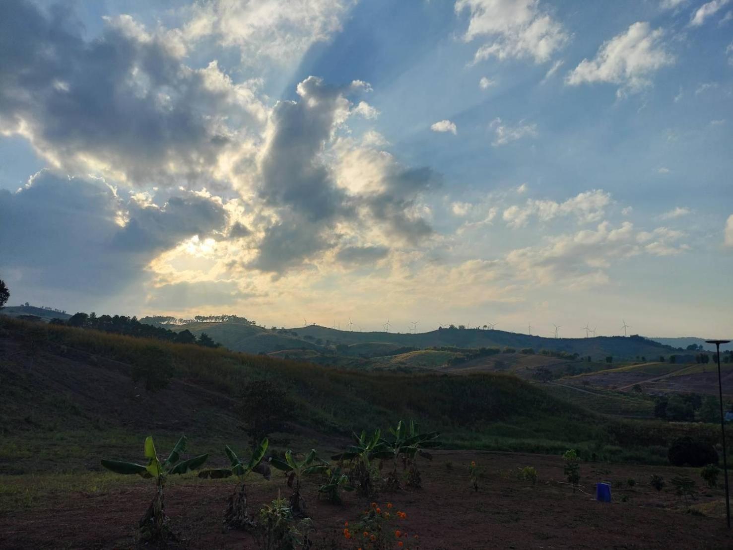 Smile Farm At Khaokho 호텔 Ban Thung Samo 외부 사진