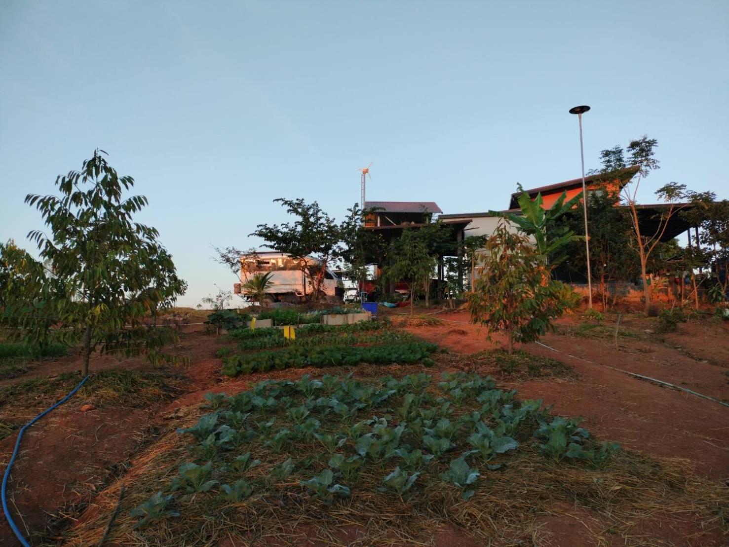 Smile Farm At Khaokho 호텔 Ban Thung Samo 외부 사진