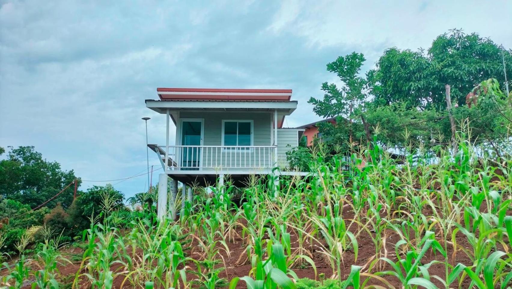 Smile Farm At Khaokho 호텔 Ban Thung Samo 외부 사진