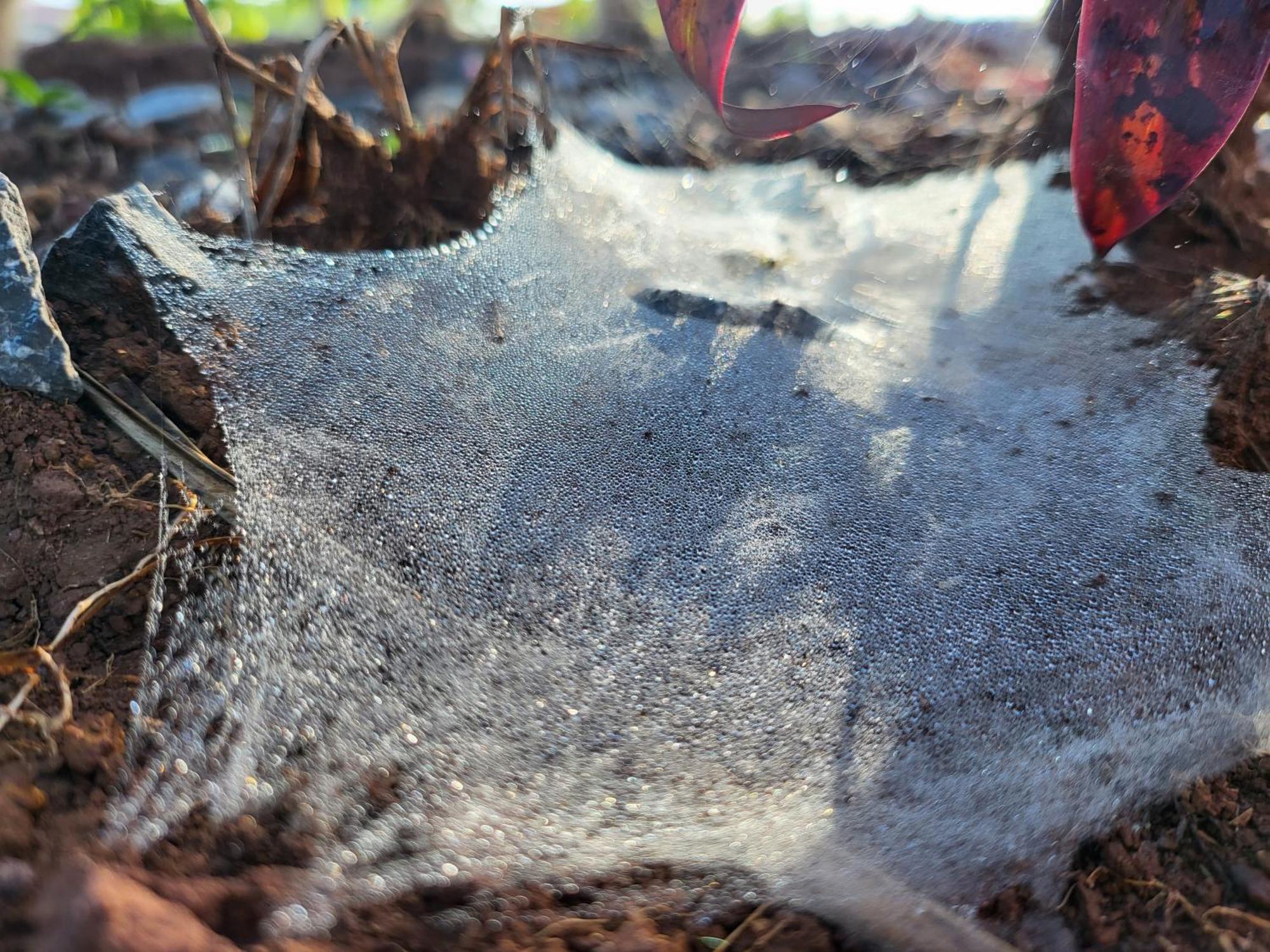 Smile Farm At Khaokho 호텔 Ban Thung Samo 외부 사진