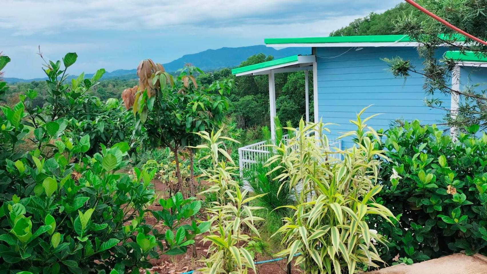 Smile Farm At Khaokho 호텔 Ban Thung Samo 외부 사진