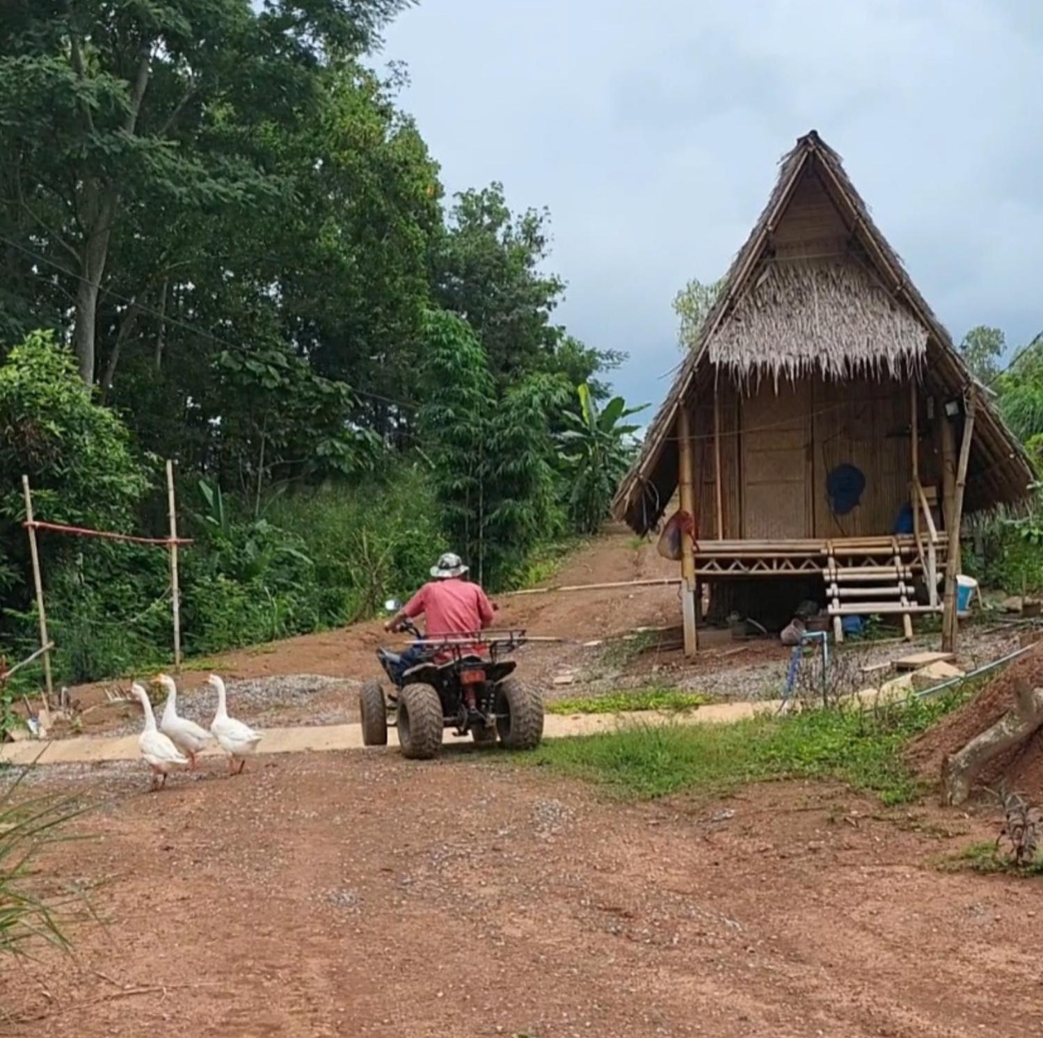 Smile Farm At Khaokho 호텔 Ban Thung Samo 외부 사진